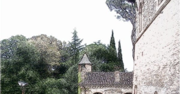 Cerotti da punti neri su una faccia